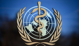 纳雍新闻爆料最新消息疫情,多举措应对，防控形势持续向好